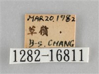 黯眼蛺蝶藏品圖，第3張
