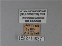 苧麻細蝶藏品圖，第3張