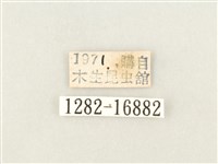 綠豹蛺蝶藏品圖，第3張