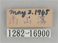 黯眼蛺蝶藏品圖，第3張