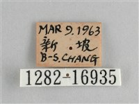 斐豹蛺蝶藏品圖，第3張
