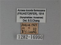 苧麻細蝶藏品圖，第3張