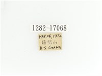 綠艷金龜藏品圖，第2張