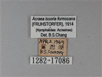 苧麻細蝶藏品圖，第3張