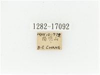 艷金龜藏品圖，第2張