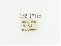 臺灣跗花金龜藏品圖，第2張