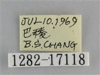 黯眼蛺蝶藏品圖，第3張