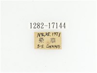 臺灣跗花金龜藏品圖，第2張