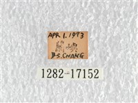 紅珠鳳蝶藏品圖，第3張