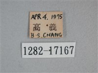 枯葉蝶藏品圖，第3張