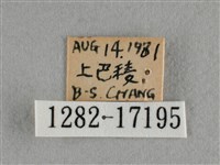 散紋盛蛺蝶藏品圖，第3張