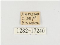 普氏白蛺蝶藏品圖，第3張
