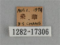 散紋盛蛺蝶藏品圖，第3張
