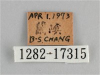 鱗紋眼蛺蝶藏品圖，第3張