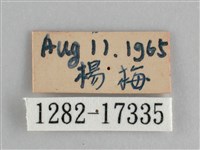 琺蛺蝶藏品圖，第3張