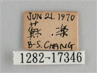 斐豹蛺蝶藏品圖，第3張