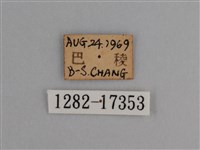 豔粉蝶藏品圖，第3張