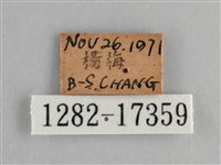 眼蛺蝶、孔雀蛺蝶藏品圖，第3張