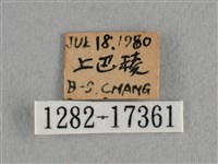 散紋盛蛺蝶藏品圖，第3張
