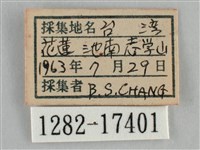 纖粉蝶藏品圖，第3張