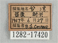 散紋盛蛺蝶藏品圖，第3張