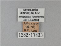 玄珠帶蛺蝶藏品圖，第3張