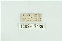 珂灰蝶藏品圖，第3張