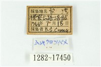密點玄灰蝶藏品圖，第3張