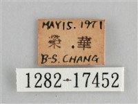 臺灣環蛺蝶藏品圖，第3張