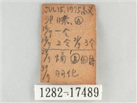 網絲蛺蝶、石牆蝶藏品圖，第3張