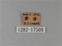 異紋帶蛺蝶藏品圖，第3張