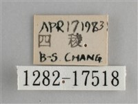 圓翅紫斑蝶藏品圖，第3張