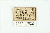 南方燕藍灰蝶藏品圖，第3張