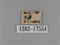 黃豹盛蛺蝶藏品圖，第3張