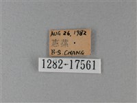 異紋帶蛺蝶藏品圖，第3張