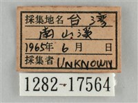 細波遷粉蝶藏品圖，第3張