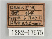 琉璃蛺蝶藏品圖，第3張