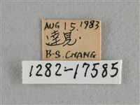 散紋盛蛺蝶藏品圖，第3張
