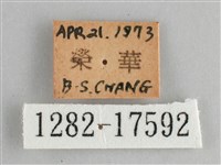 臺灣環蛺蝶藏品圖，第3張
