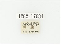 血紅虎斑花金龜藏品圖，第2張