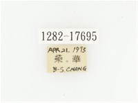 血紅虎斑花金龜藏品圖，第2張