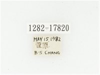 血紅虎斑花金龜藏品圖，第2張