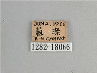 大紅蛺蝶藏品圖，第3張