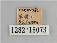 小紅蛺蝶藏品圖，第3張