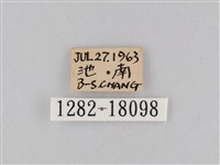 豆環蛺蝶藏品圖，第3張