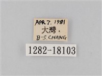 豆環蛺蝶藏品圖，第3張