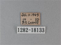 殘眉線蛺蝶藏品圖，第3張