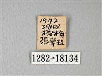 白粉蝶、紋白蝶藏品圖，第3張