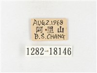 黃裙豔粉蝶藏品圖，第3張
