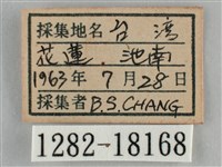 纖粉蝶藏品圖，第3張